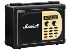 Internetradio Pure Evoke 1s Marshall